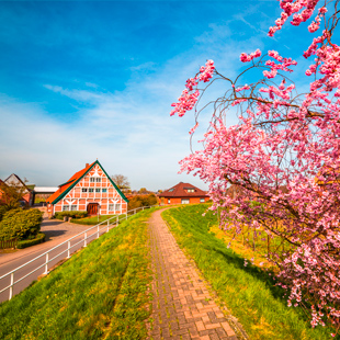 Een authentieke straat nabij Hamburg met kleurrijke bloemen, Duitsland