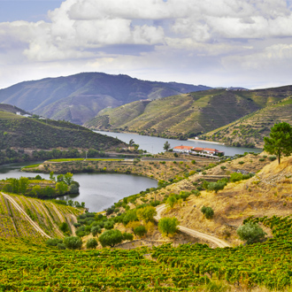 De wijnvelden aan de Douro rivier dichtbij Porto, Portugal
