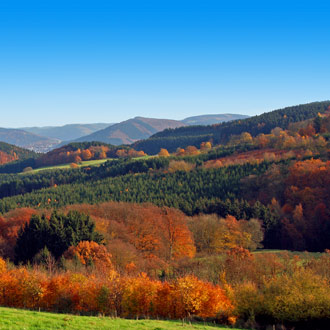 Beboste bergen in de herfst in Sauerland