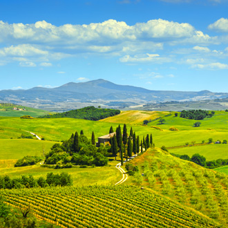 Landschap met cipressen in Toscane, Italie