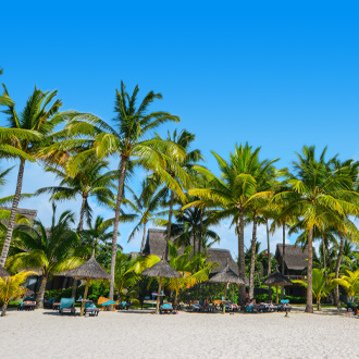 Palmbomen op het Grand Baie strand op het meest noordelijke puntje van Mauritius