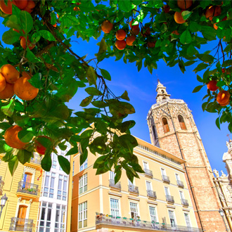 Plaza de la Reina met sinaasappelbomen in Valencia, Spanje
