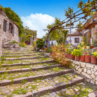 Foto van een stenen trap met groene planten in het dorp Molyvos
