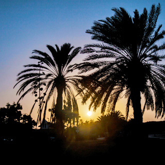 Zonsondergang-achter-palmbomen-in-Jan-Thiel-Baai-Curacao