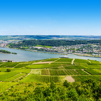 Rivier de Rijn in Duitsland