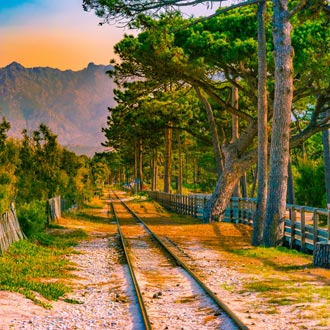 Landschap met treinrails, bomen en een berg in Calvi