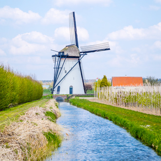 Windmolen omringd door weiland en water in Kasteren Gelderland