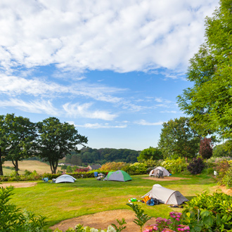 Een camping met tenten midden in de natuur in Limburg, Nederland
