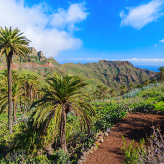 Palmbomen in een bergvallei met oceaan op de achtergrond in La Gomera