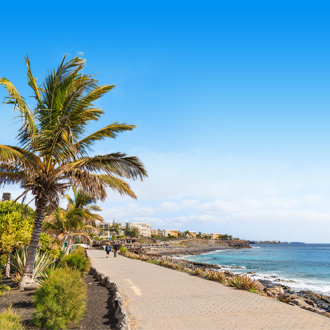 Weg langs de kustlijn, met palmbomen in Lanzarote.