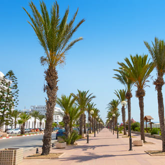 Boulevard met palmbomen en trottoir bij de Golf van Hammamet