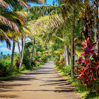 Een vakantieroute met palmbomen in Mauritius