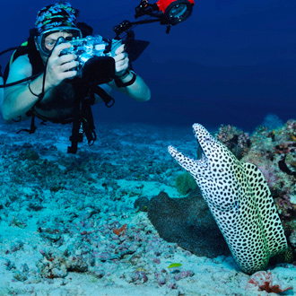 Duiker die een foto maakt onder water van een luipaard mureen