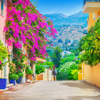 Griekse straat met roze bloemen