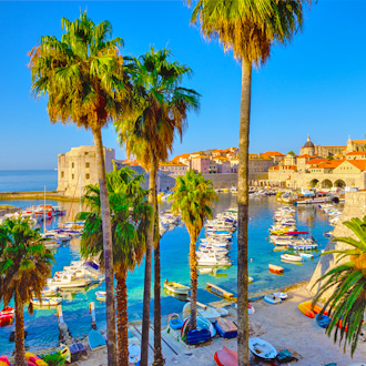 Palmbomen-met-uitzicht-op-de-haven-van-Dubrovnik-in-Midden-Dalmatie