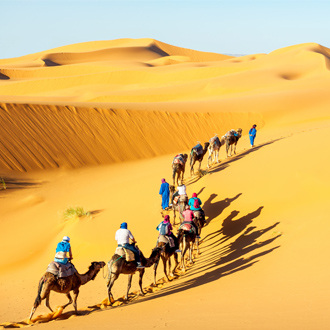 Kamelen in de Sahara woestijn in Marokko