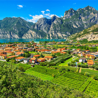 Gardameer en de wijngaarden in de buurt van Torbole stad, Italië, Europa