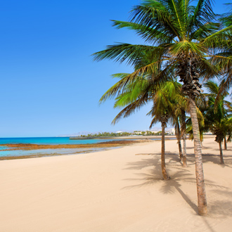 Arrecife Lanzarote Playa Reducto strand met tropische palmbomen op de Canarische Eilanden