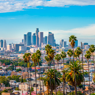 Skyline Los Angeles met palmbomen 