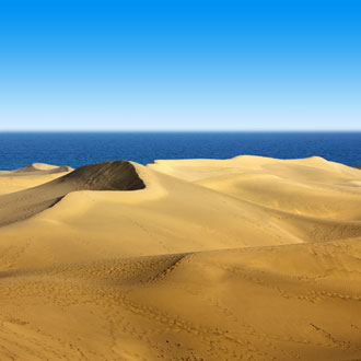 Foto van de duinen in Maspalomas met de zee op de achtergrond
