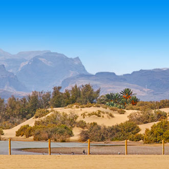 Foto van de duinen in Maspalomas met bergen op de achtergrond