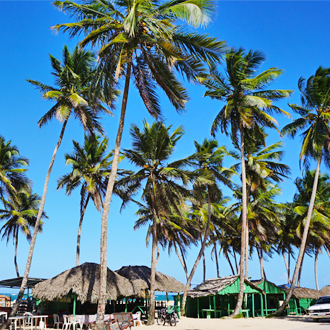 Een strand aan de Noordkust van de Dominicaanse Republiek met palmbomen vlakbij Playa Dorada