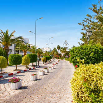 Stenen straatje met groene bomen in Port el Kantaoui Tunesië