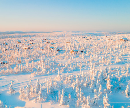 <p>Wit besneeuwd landschap in Rovaniemi</p>