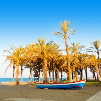 Strand met bootjes en palmbomen in Torremolinos, Spanje