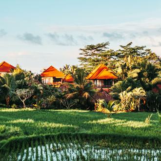 Huisjes met oranje daken omgeven met natuur in Ubud op Bali, Indonesie