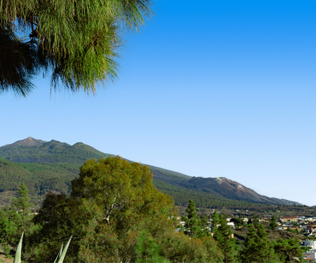 <p>Uitzicht op de groene bergen in El Paso</p>