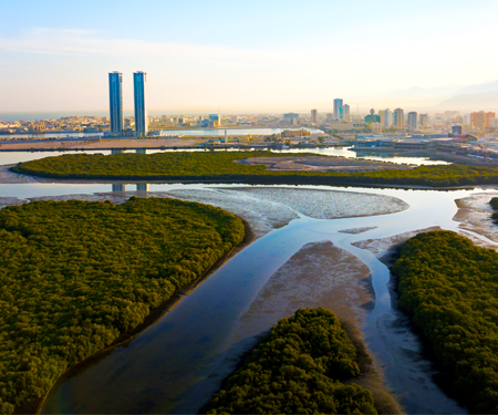 Mangroven vormen groene eilanden tegen de skyline van Ras Al Khaimah, Verenigde Arabische Emiraten, onder blauwe lucht.