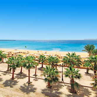 Palmbomen langs het strand in Sahl Hasheesh, Egypte