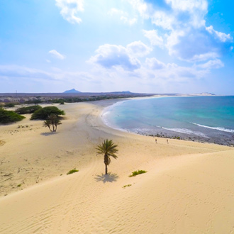 Strand met zee en palmbomen in Praia de Chaves