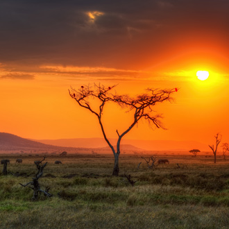 Zonsondergang in Serengeti National Park in Kenia