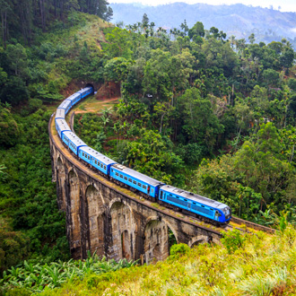 Trein op de Negen boog brug in Sri Lanka