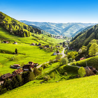 Groene vallei met bergen Schwarzwald in Duitsland