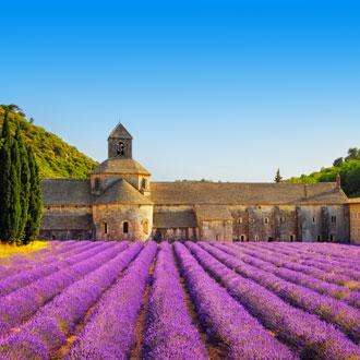 Paars lavendelveld met klooster op de achtergrond in Provence