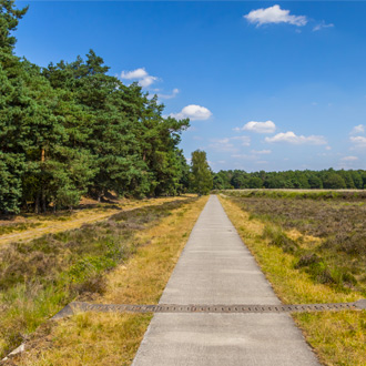 Fietspad in Nationaal Park Dwingelderveld, Drenthe