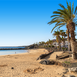 Strand met palmbomen, en de kustlijn, in Lanzarote.