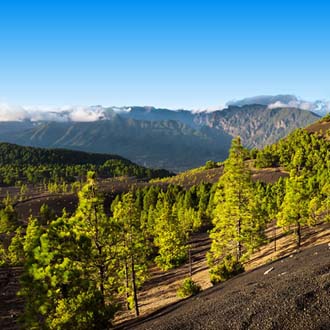 Cumbre Nueva op La Palma bomen en bergen