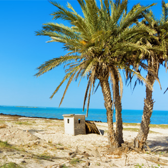Strand met palmbomen in Djerba, Tunesië
