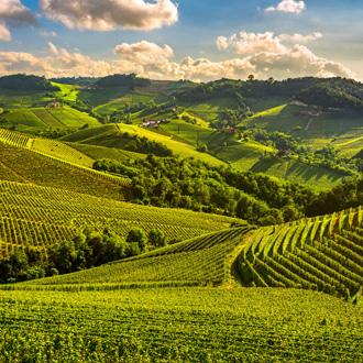 Wijnstreek de Langhe in Piemonte, Italië