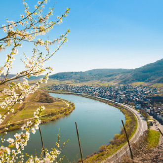 Duitsland-Uitzicht-over-de-Moselle-rivier-in-Rheinland-Pfalz