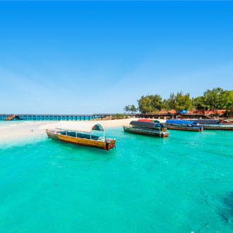 Boten bij de kust van Zanzibar, Afrika