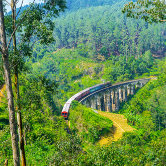 De trein in de natuur van Sri Lanka