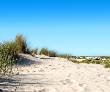 <p>Duinen op het waddeneiland</p>