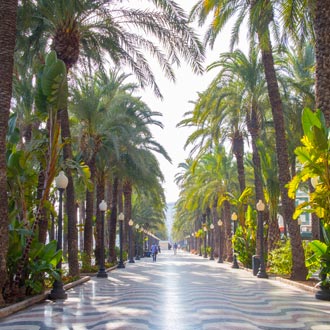 Boulevard met palmbomen Esplanada de Espana in Alicante