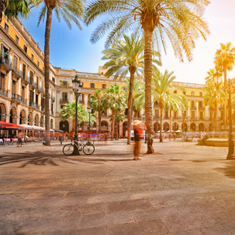 Het-Plaza-Real-in-Barcelona-Spanje