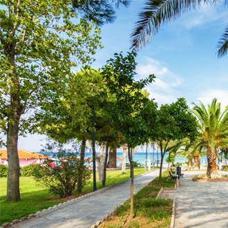 Een straat met palmbomen, uitzicht op zee in Hanioti, Griekenland